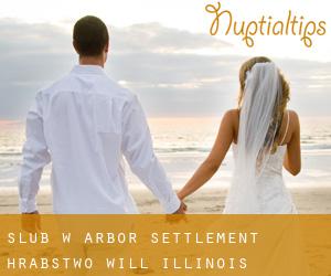 ślub w Arbor Settlement (Hrabstwo Will, Illinois)