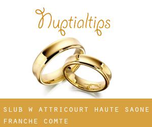 ślub w Attricourt (Haute-Saône, Franche-Comté)