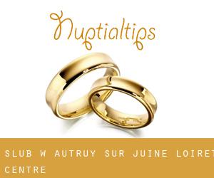 ślub w Autruy-sur-Juine (Loiret, Centre)