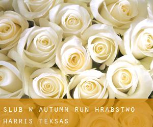 ślub w Autumn Run (Hrabstwo Harris, Teksas)