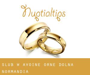 ślub w Avoine (Orne, Dolna Normandia)