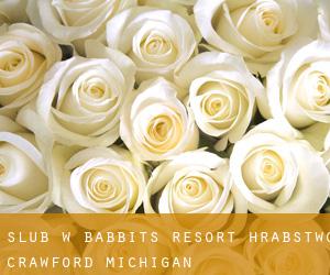 ślub w Babbits Resort (Hrabstwo Crawford, Michigan)