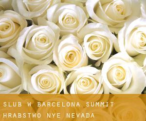 ślub w Barcelona Summit (Hrabstwo Nye, Nevada)