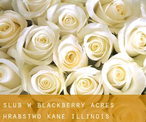 ślub w Blackberry Acres (Hrabstwo Kane, Illinois)