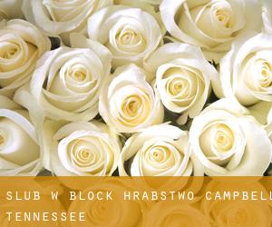 ślub w Block (Hrabstwo Campbell, Tennessee)