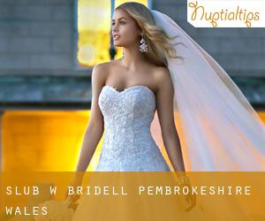 ślub w Bridell (Pembrokeshire, Wales)
