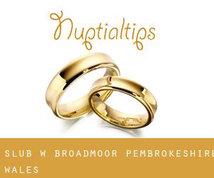 ślub w Broadmoor (Pembrokeshire, Wales)