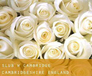 ślub w Cambridge (Cambridgeshire, England)