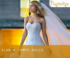 ślub w Campo Gallo