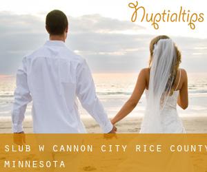 ślub w Cannon City (Rice County, Minnesota)