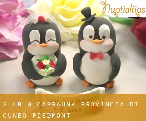 ślub w Caprauna (Provincia di Cuneo, Piedmont)