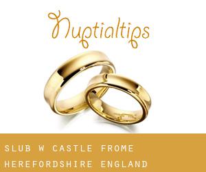 ślub w Castle Frome (Herefordshire, England)