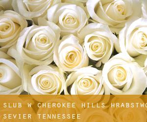 ślub w Cherokee Hills (Hrabstwo Sevier, Tennessee)