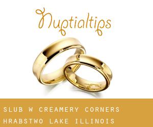 ślub w Creamery Corners (Hrabstwo Lake, Illinois)