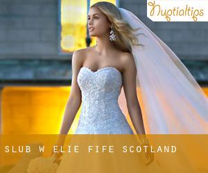 ślub w Elie (Fife, Scotland)