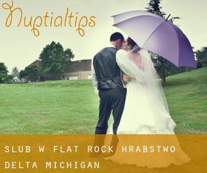 ślub w Flat Rock (Hrabstwo Delta, Michigan)