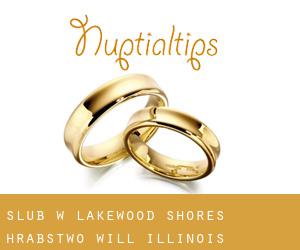 ślub w Lakewood Shores (Hrabstwo Will, Illinois)