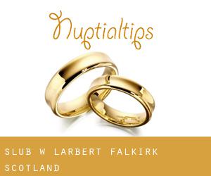 ślub w Larbert (Falkirk, Scotland)
