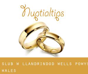 ślub w Llandrindod Wells (Powys, Wales)