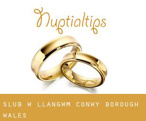 ślub w Llangwm (Conwy (Borough), Wales)