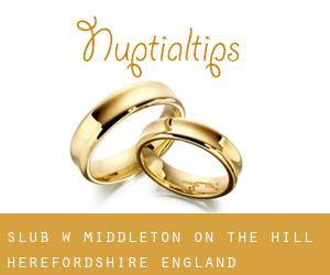 ślub w Middleton on the Hill (Herefordshire, England)