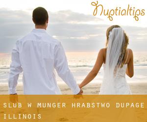 ślub w Munger (Hrabstwo DuPage, Illinois)