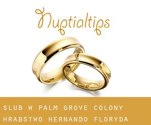 ślub w Palm Grove Colony (Hrabstwo Hernando, Floryda)