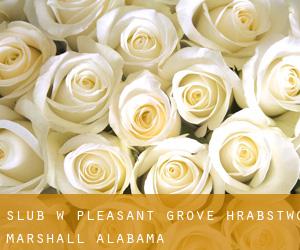 ślub w Pleasant Grove (Hrabstwo Marshall, Alabama)