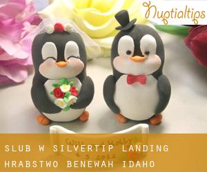 ślub w Silvertip Landing (Hrabstwo Benewah, Idaho)