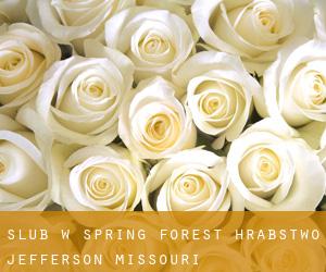 ślub w Spring Forest (Hrabstwo Jefferson, Missouri)