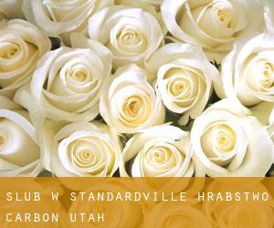 ślub w Standardville (Hrabstwo Carbon, Utah)