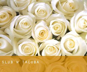 ślub w Tacuba
