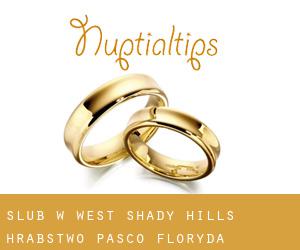 ślub w West Shady Hills (Hrabstwo Pasco, Floryda)
