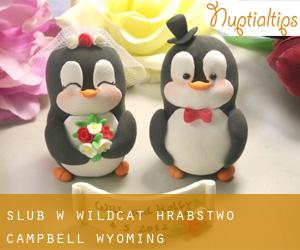 ślub w Wildcat (Hrabstwo Campbell, Wyoming)