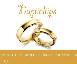 wesela w Bonito (Mato Grosso do Sul)