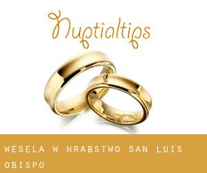 wesela w Hrabstwo San Luis Obispo